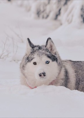 ������ �������� ����!. ����� ������ ��������� ��� ����� ��������� �������� � ���������