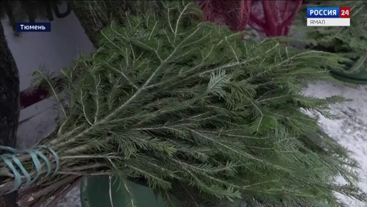 ������ �� ��������� � ������� ���� ������������ ���������