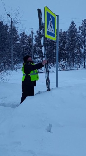 ���������� ���������������� ��������� ������� ������������ ������-�������� ���� ����������� ��������������