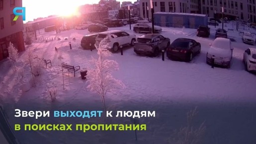 � ������� ��� ��� ����� �����