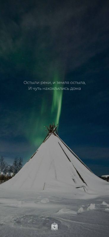 Вашему смартфону тоже нужен новогодний наряд! Забирайте