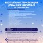 На Ямале действует мера социальной поддержки в виде бесплатной стерилизации животных