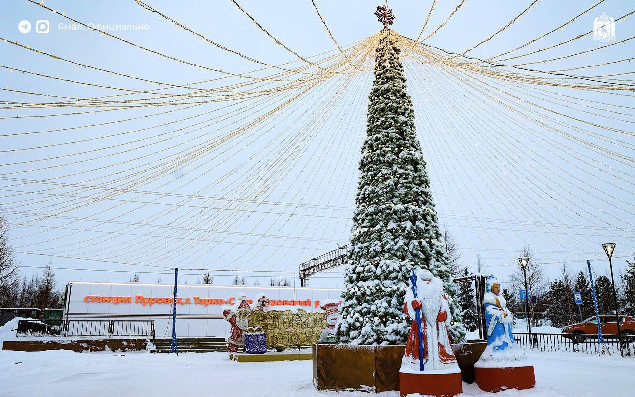 В Пуровске заработал новый модульный пассажирский павильон В Пуровске заработал новый модульный пассажирский павильон