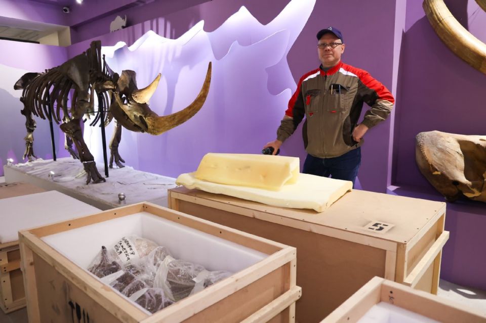 ������ ������ ������� �� �������� ����������� ����� �����������