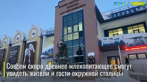 ��������� ������ �������� �� �������������� �����������