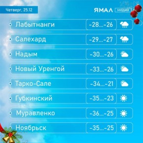 Прячьте носы в шарф, пока их не укусил мороз