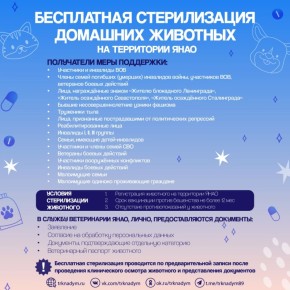 На Ямале действует мера социальной поддержки в виде бесплатной стерилизации животных