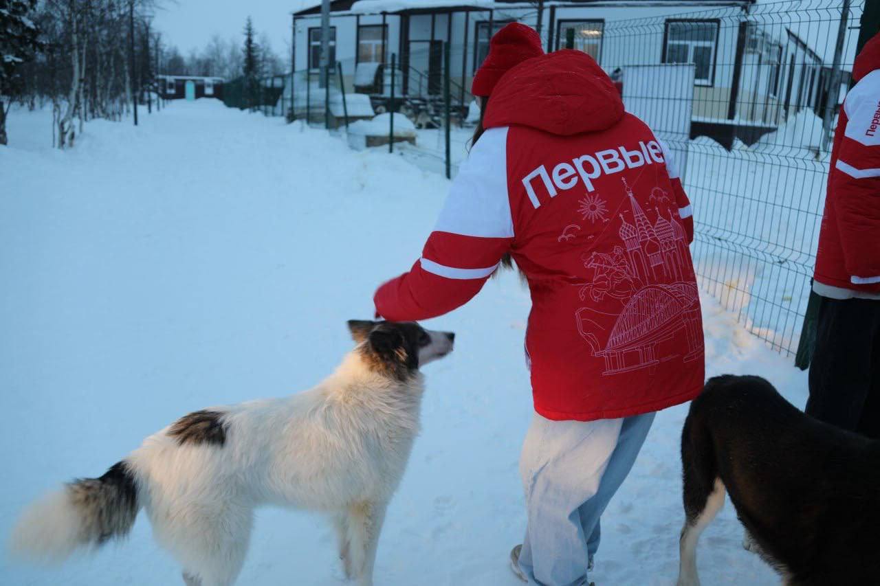 Добрые дела объединяют и делают город теплее Добрые дела объединяют и делают город теплее