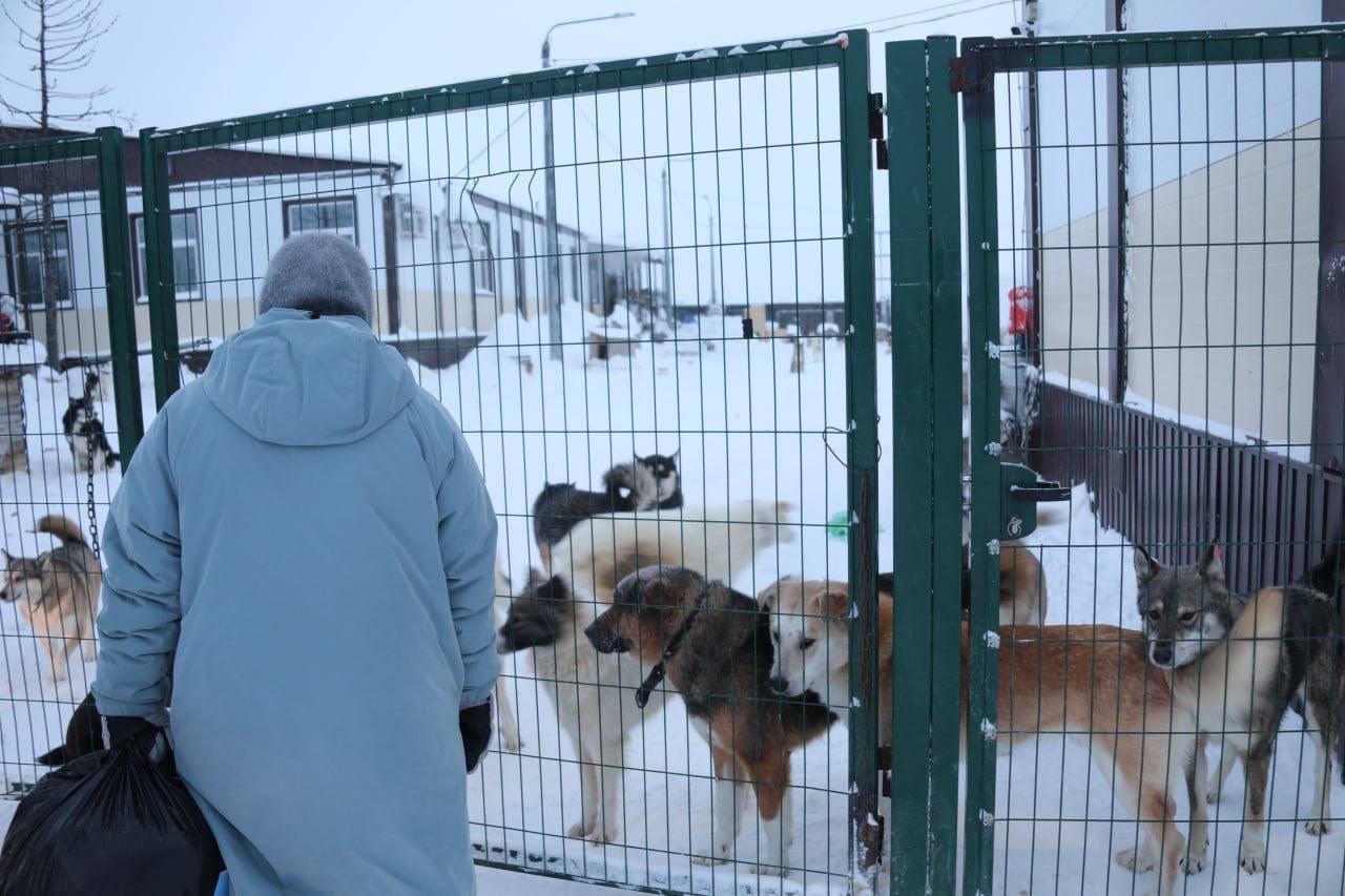 Добрые дела объединяют и делают город теплее Добрые дела объединяют и делают город теплее