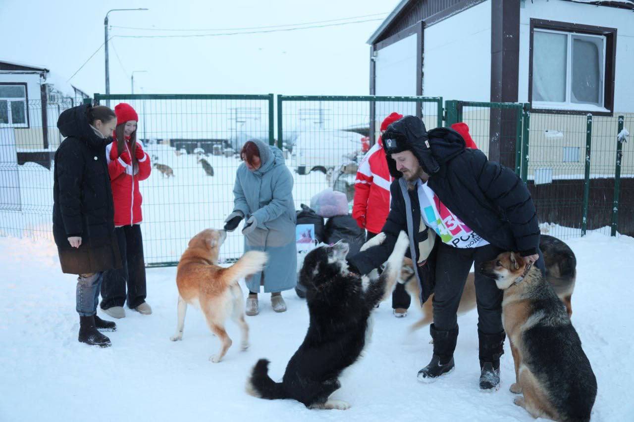 Добрые дела объединяют и делают город теплее Добрые дела объединяют и делают город теплее