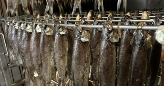 � ����� ������� ��������� ��� �� ����������� ����