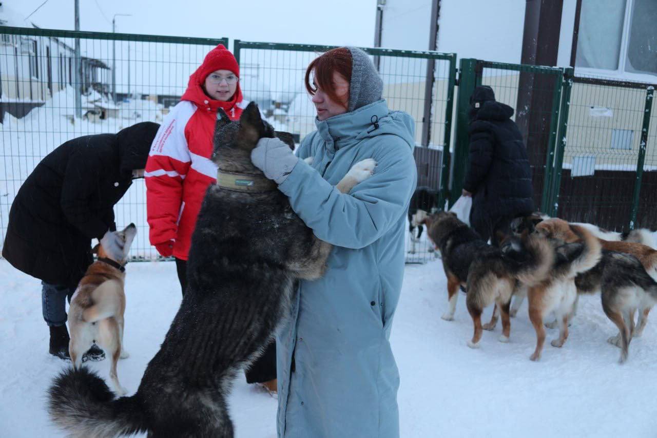 Добрые дела объединяют и делают город теплее Добрые дела объединяют и делают город теплее