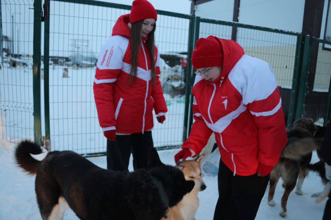 Добрые дела объединяют и делают город теплее Добрые дела объединяют и делают город теплее