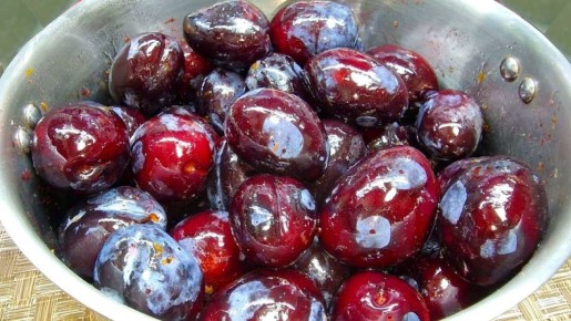 ��� �������� ������ �� ���� ��������: 7 ��������� ��� ��������� �����������