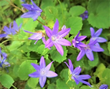 ������� �������� � ������������� ��������