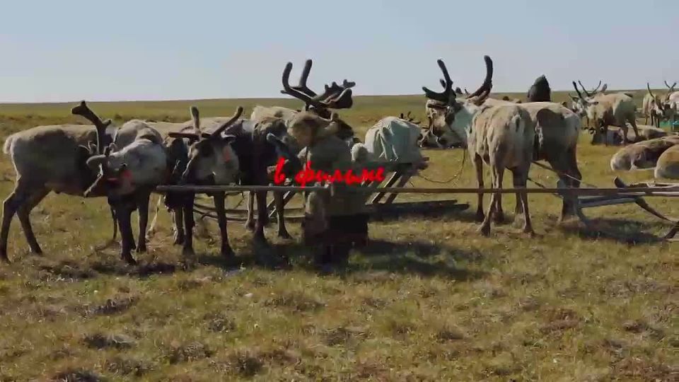 �� ������ ����, � �����: ���������� ����� �������� ������� ������ ���� ����