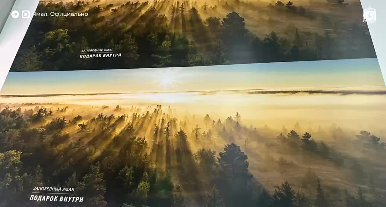 Началась печать фотоальбома «Заповедный Ямал. Тайны края земли»