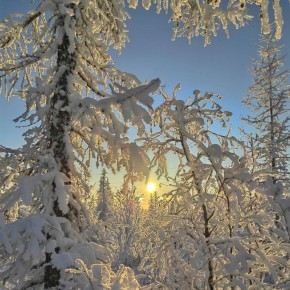 ������ ����, ������!. ����� ��������� ������� ����������� � ���� ���� ����� ����������, ������ � ������������