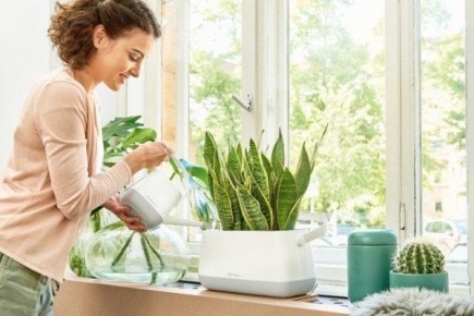 Как спасти потопленные растения: полезные советы для заботливых садоводов