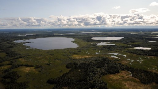 Ямало-Ненецкий центр гидрометеорологии и мониторинга сообщает: