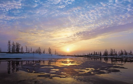 Программа «Морошка» расширила льготы на авиабилеты для ямальских школьников