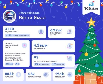 Новый год — самое волшебное время! Подводим итоги и благодарим вас, наши дорогие подписчики, за невероятную поддержку в 2025 году