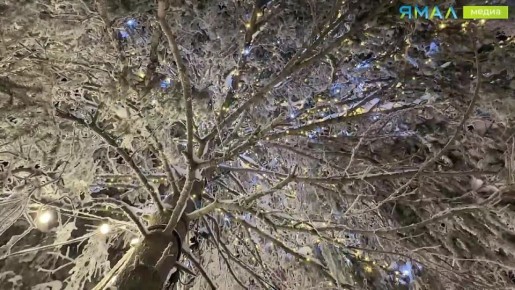 �� ������ � ������!. �� ����� �����, ��� ������� ��������� ������� � ������ �������� ����� �� ��� ����! ��� �������, ��� ��� ���������? �����: ���� ���������� / �����-����� �����-����� | ���������� ��� ������