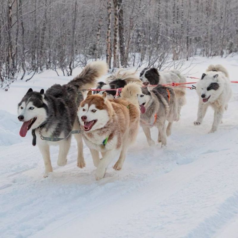 ������ ������ ��������� �������� ������ ���� � �����!