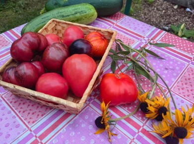 ��� �������� ��������� � �������: ������ ��������� ��� ��������� ������