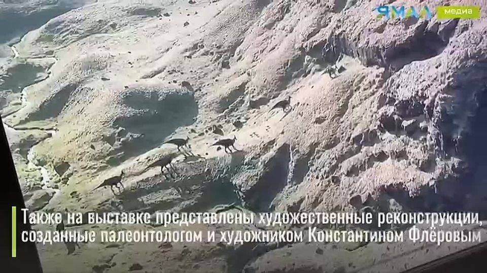 Выходные с динозаврами. Жители и гости Салехарда могут совершить путешествие в мезозойскую эру