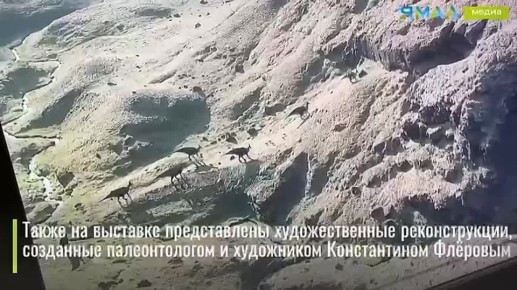 Выходные с динозаврами. Жители и гости Салехарда могут совершить путешествие в мезозойскую эру