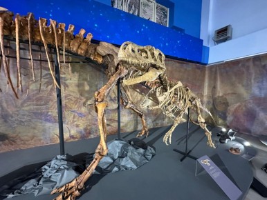 Кто куда, а мы – в мезозойскую эру!