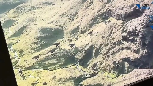 В МВК имени И. С. Шемановского начала работу масштабная палеонтологическая выставка «Эпоха динозавров»