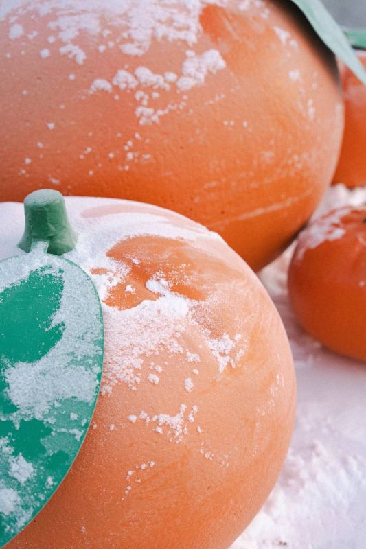 � ������������ � ���-���������� �����