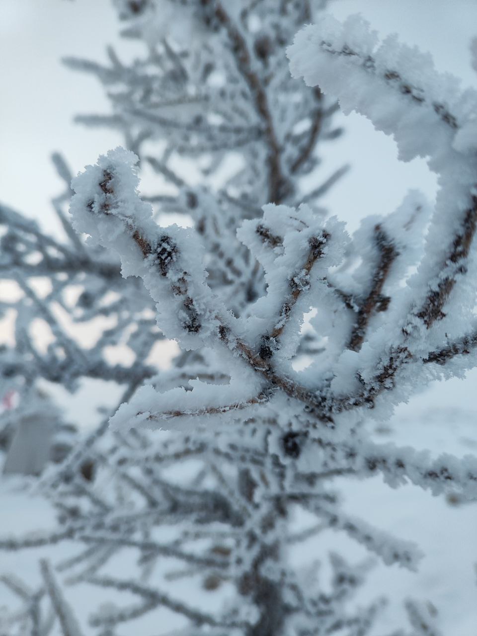 Пока многие отдыхают в праздничные выходные дома, 28 человек совершили восхождение на гору Желтую Пока многие отдыхают в праздничные выходные дома, 28 человек совершили восхождение на гору Желтую