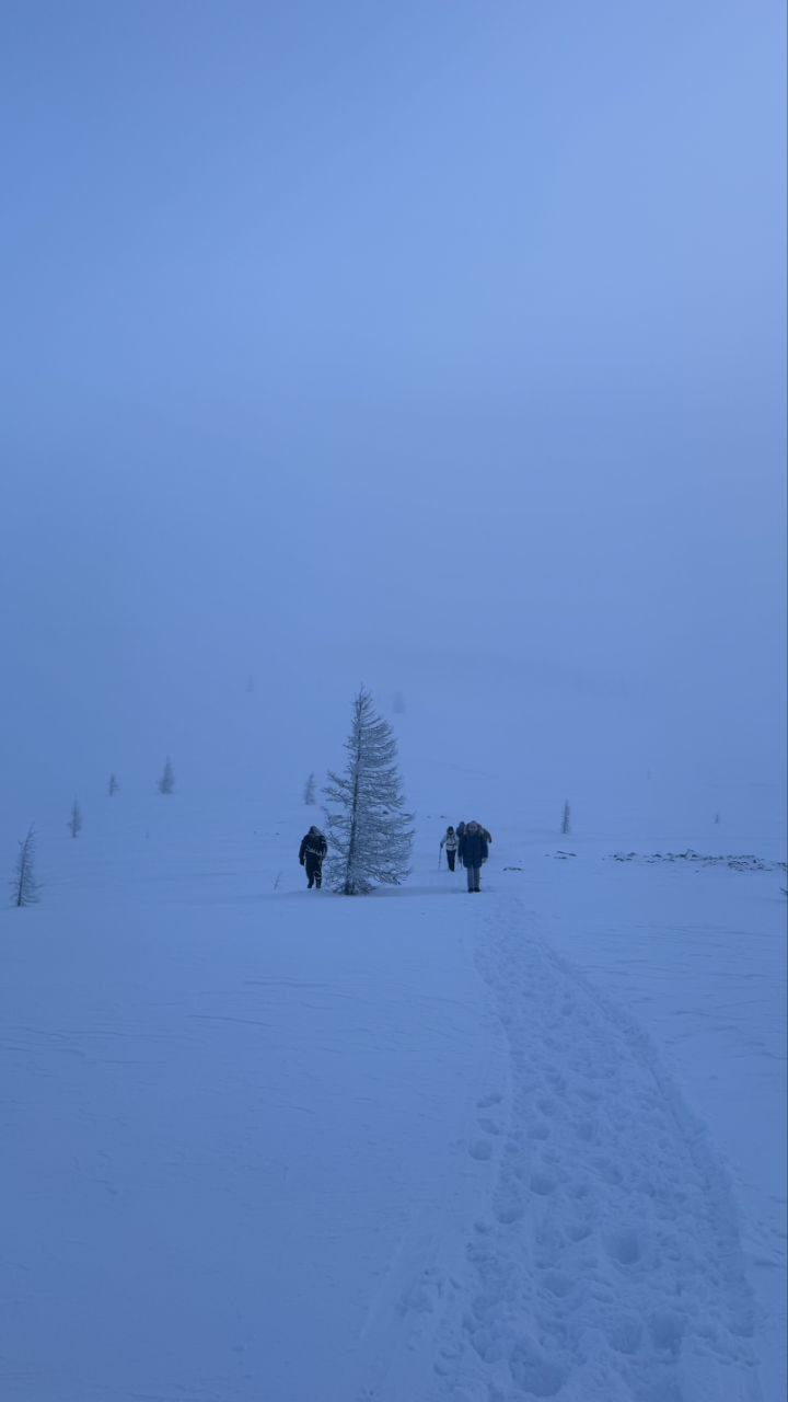 «Начало года — время для новых свершений и активного отдыха» «Начало года — время для новых свершений и активного отдыха»