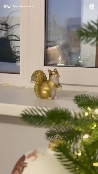 Ёлочный показ. Подборка тех самых новогодних символов, что стоят в домах наших подписчиков и радуют собой ЯМАЛ