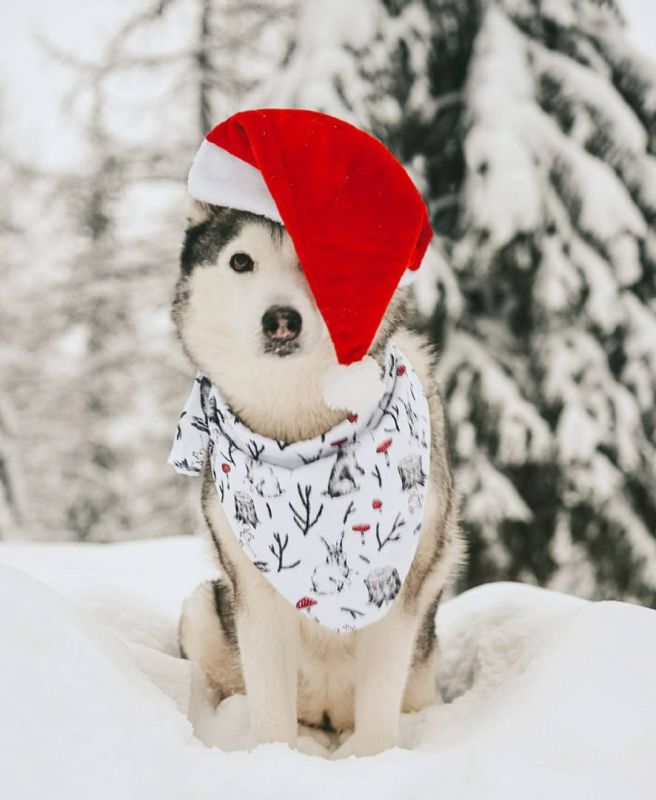 Ну, здравствуй, первый понедельник 2026 года!