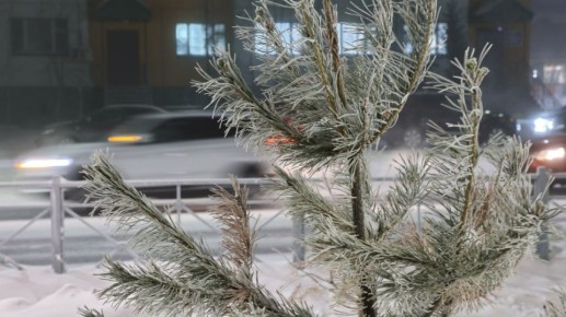 ������� ����, ��������. ��������� �������� �������! ����������� ���� �� - 22 C� �� - 29 C�, �������� � ����������� ����������� � 1-2 �/�