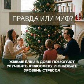 ����������� ������ ����: ��� ��� ����������?