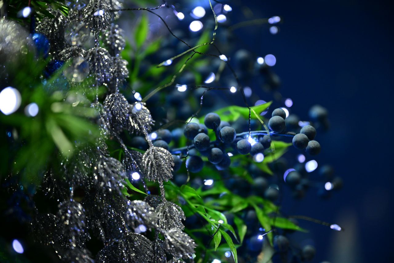 В резиденции Деда Мороза сказка становится реальностью В резиденции Деда Мороза сказка становится реальностью