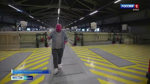 � ���� ���������� ������ �������� ������� �� ���������� ������ ������