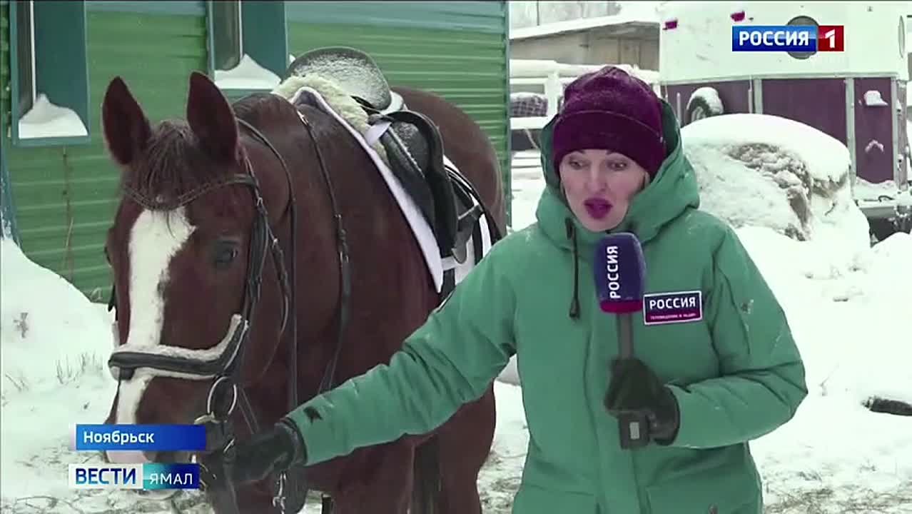 Ноябрьские всадники нацелены на новые рекорды