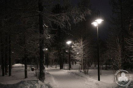 Проснитесь с улыбкой и насладитесь красотой зимней природы