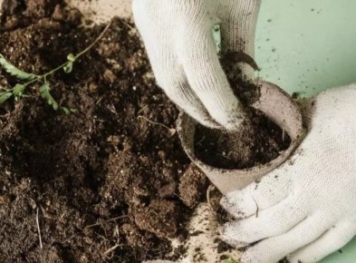 ������ ��������� ������-��������� ����� � 10 �� 16 ������