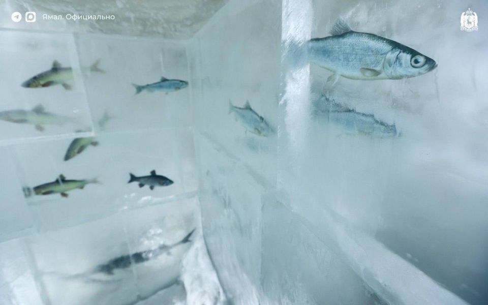 Музей вечной мерзлоты в Тазовском