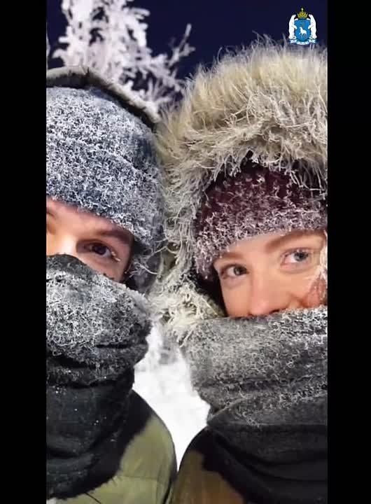 Мы собрали галерею зимы. И она – великолепна