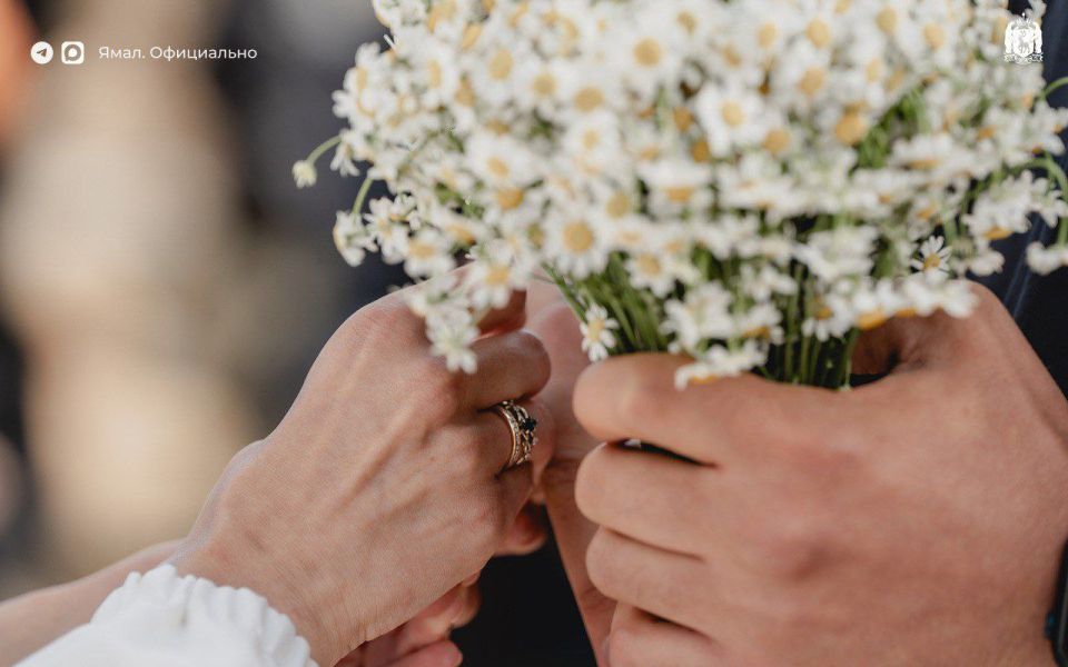 Первый день вашей семейной истории