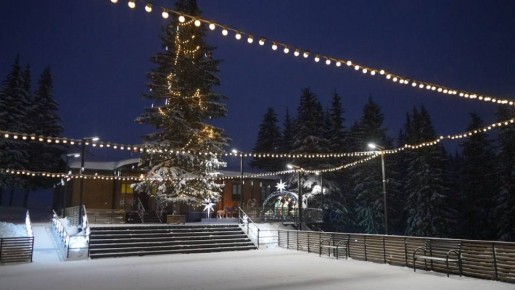 ������������ ������� ��������� ��� �������� ������