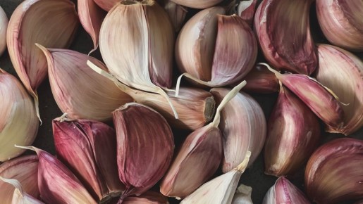 ������ �����, ���� ����������� � ��������, �������: ����� �������� ���� �������